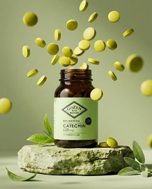 GOZEN FERMENTED MATCHA EXTRACT (CateFerm) - Mitochondrial Intelligence