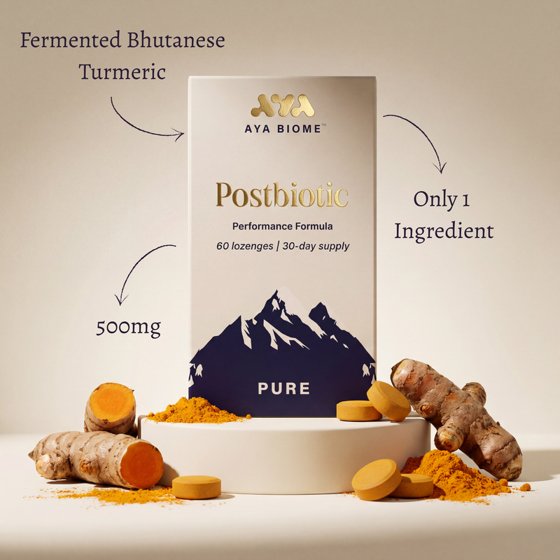 PURE - AYA BIOME™ Fermented Turmeric | Daily Postbiotic Supplement | 500mg · 30 Servings