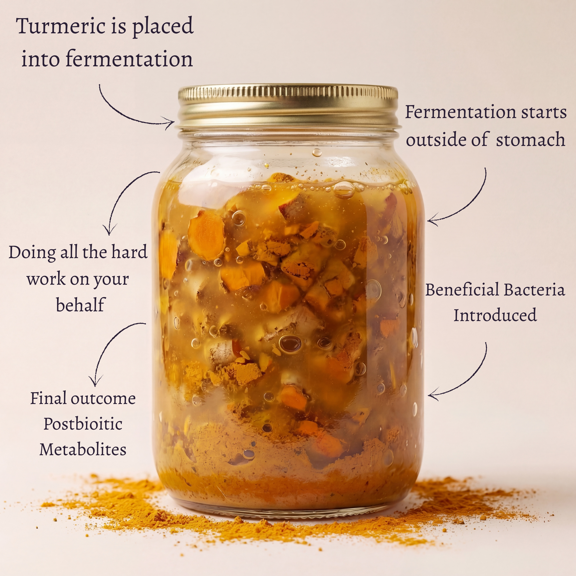 Fermented jar with turmeric and other ingredients, labeled steps of fermentation process.